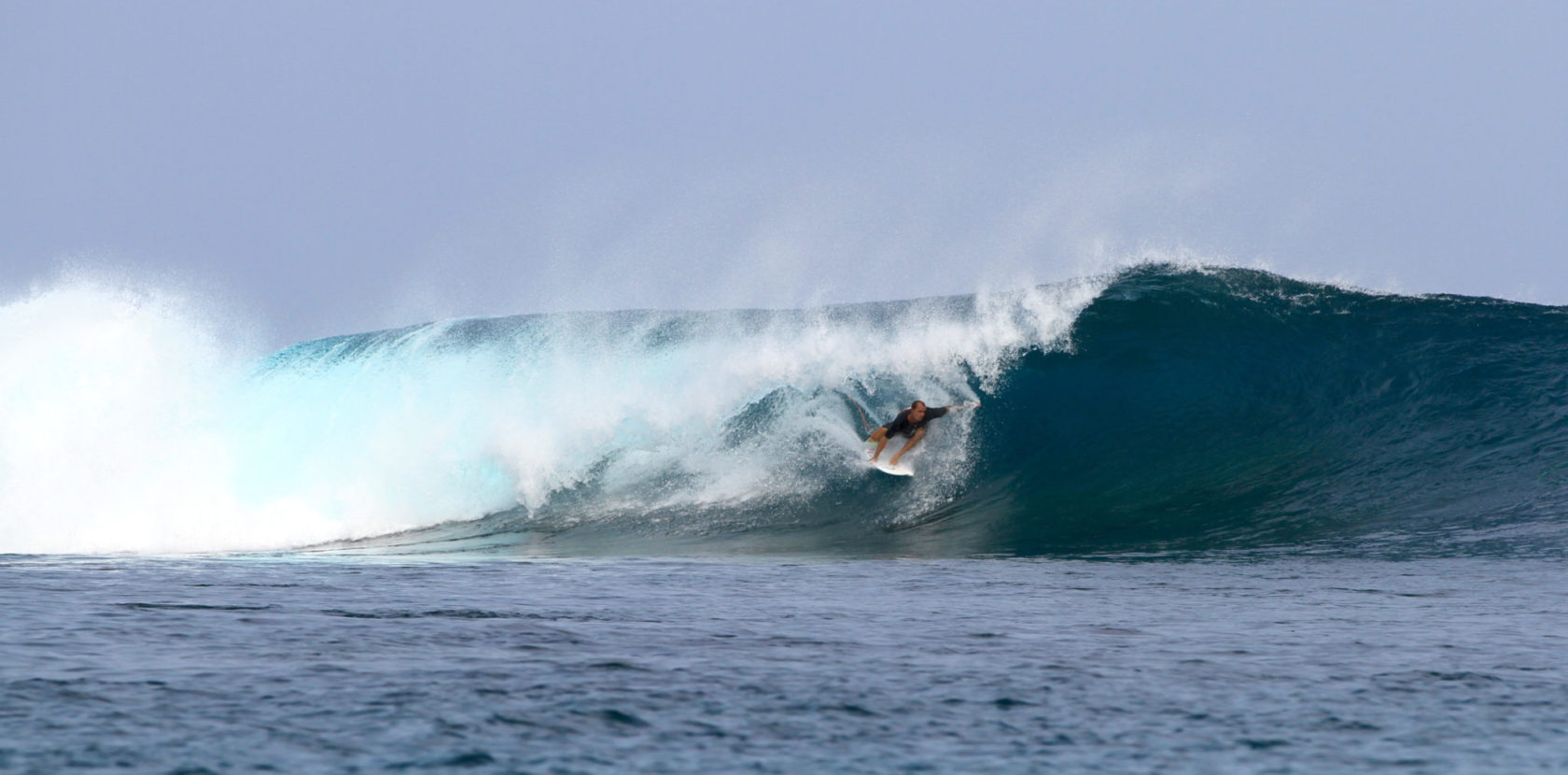 ANGELO BONOMELLI: MENTAWAI DREAM