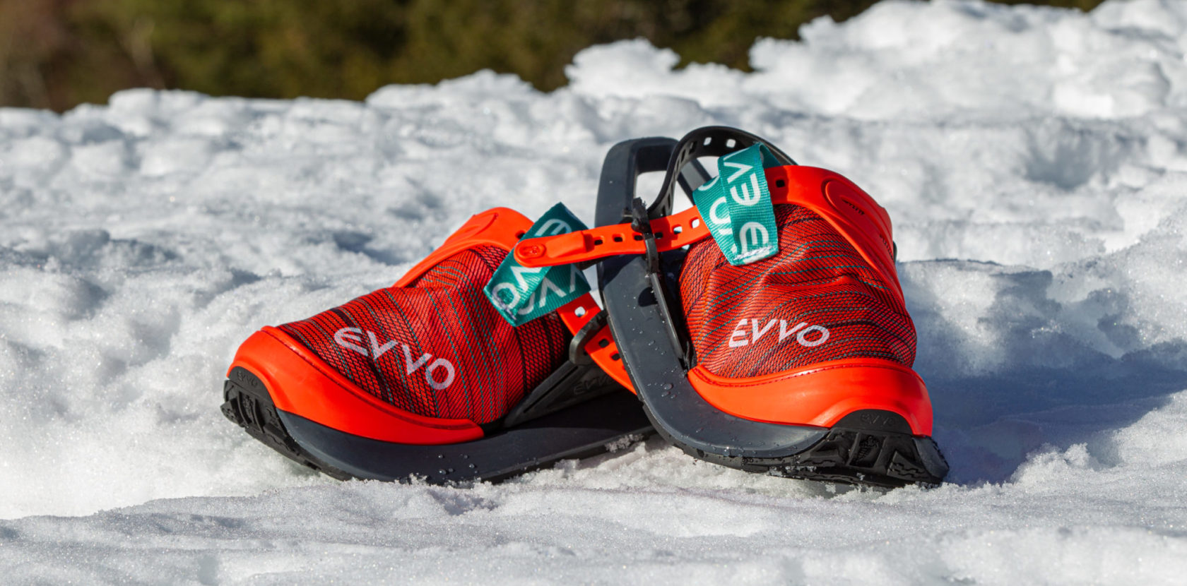 EVVO SNOWSHOES